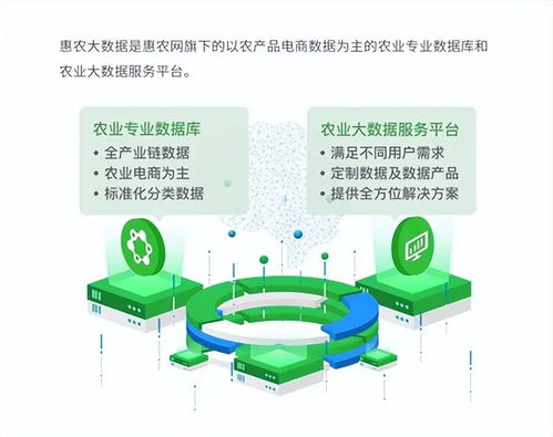惠農(nóng)網(wǎng) 數(shù)字化產(chǎn)業(yè)服務(wù)十年助農(nóng)路，從追趕到超越的數(shù)字內(nèi)容賦能之旅